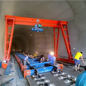 d؛C(j)İȫg(sh)Ҫʲô