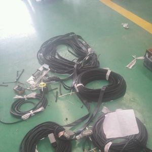 2018010252  oRDs3Tһ185